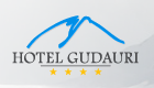 Hotel Gudauri